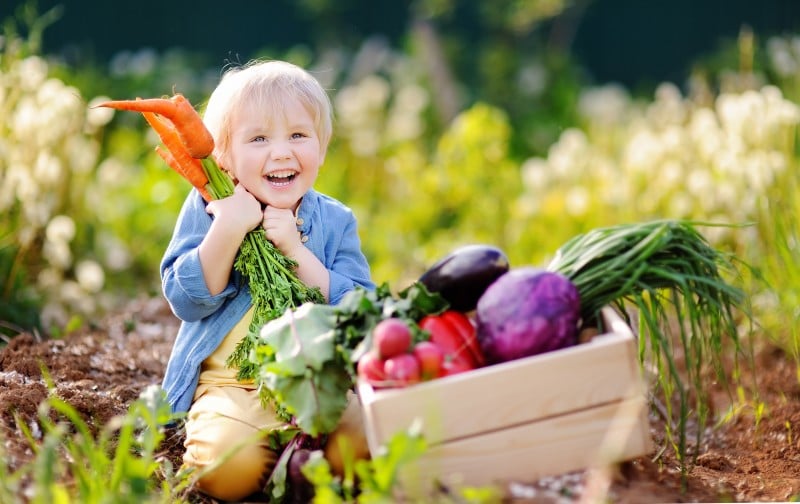 10 Tips to Get Your Kids to Eat Vegetables and Fruits - TulsaKids Magazine