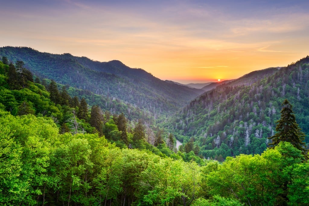 Newfound Gap In The Smoky Mountains. One of America's National Parks