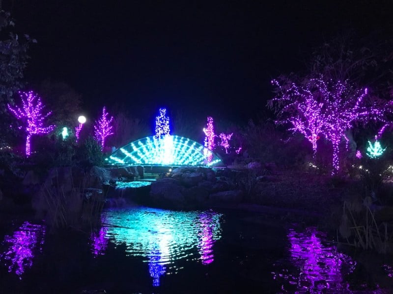 tulsa botanic garden's garden of lights is one of the best places to view holiday lights in tulsa