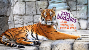 Zoo Buddies: Head, Haunches, Tails & Toes – Fall @ Tulsa Zoo | Tulsa | Oklahoma | United States