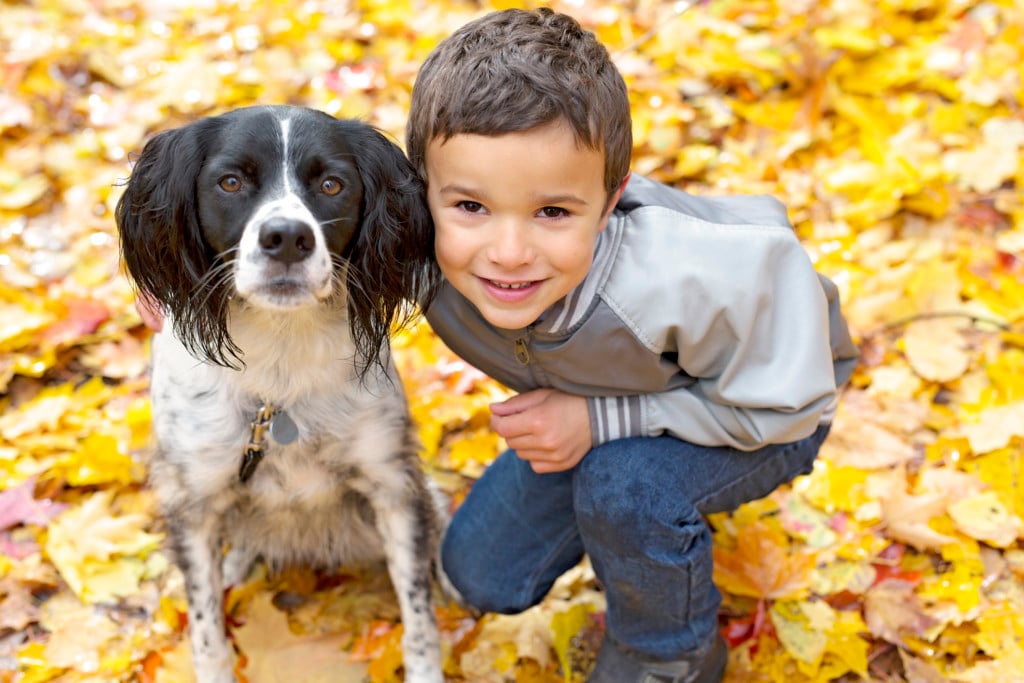boy with dog and autumn leaves. for article on fall break in tulsa