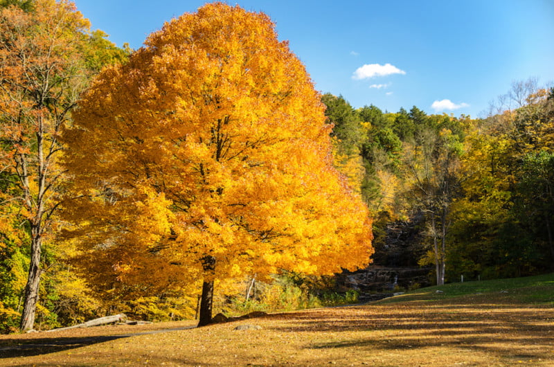 Oklahoma Fall Foliage Top Places to View Changing Leaves TulsaKids