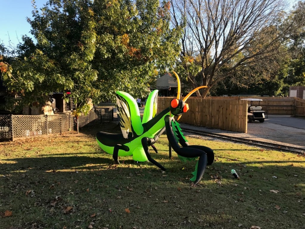 praying mantis inflatable at hallowzooeen