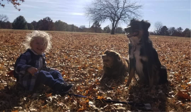 Callister and his dogs, for article on how to teach grandkids gratitude