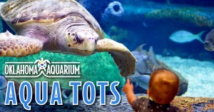 Aqua Tots @ Oklahoma Aquarium