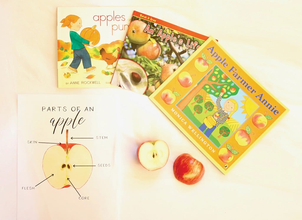 home and haven fall homeschool bundle, for article on creating traditions