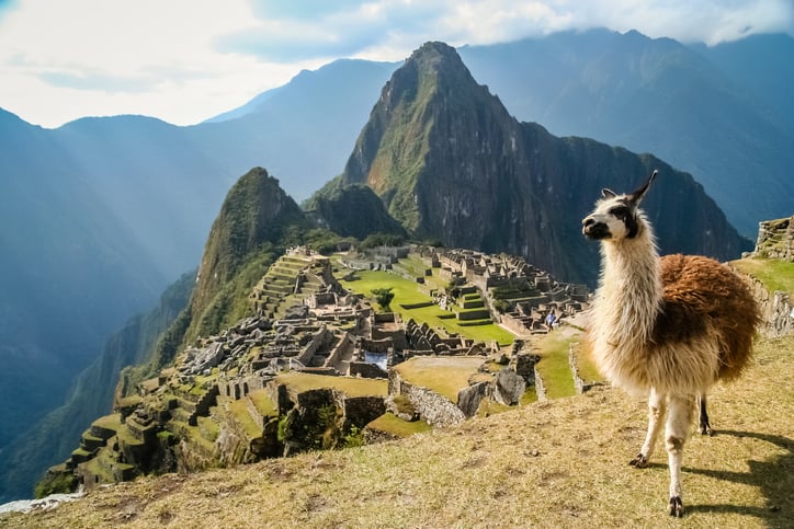 Lama And Machu Picchu, for an article on virtual vacations