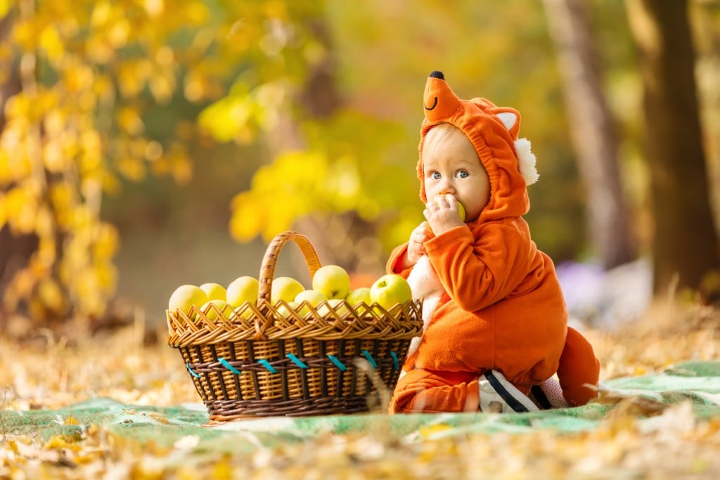 Cute Baby Boy Dressed In Fox Costume