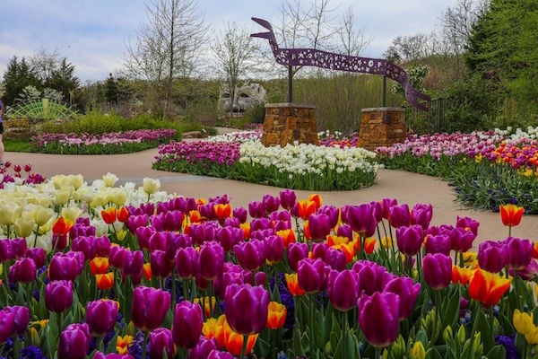 Tulsa Botanic Blooms 600 Px
