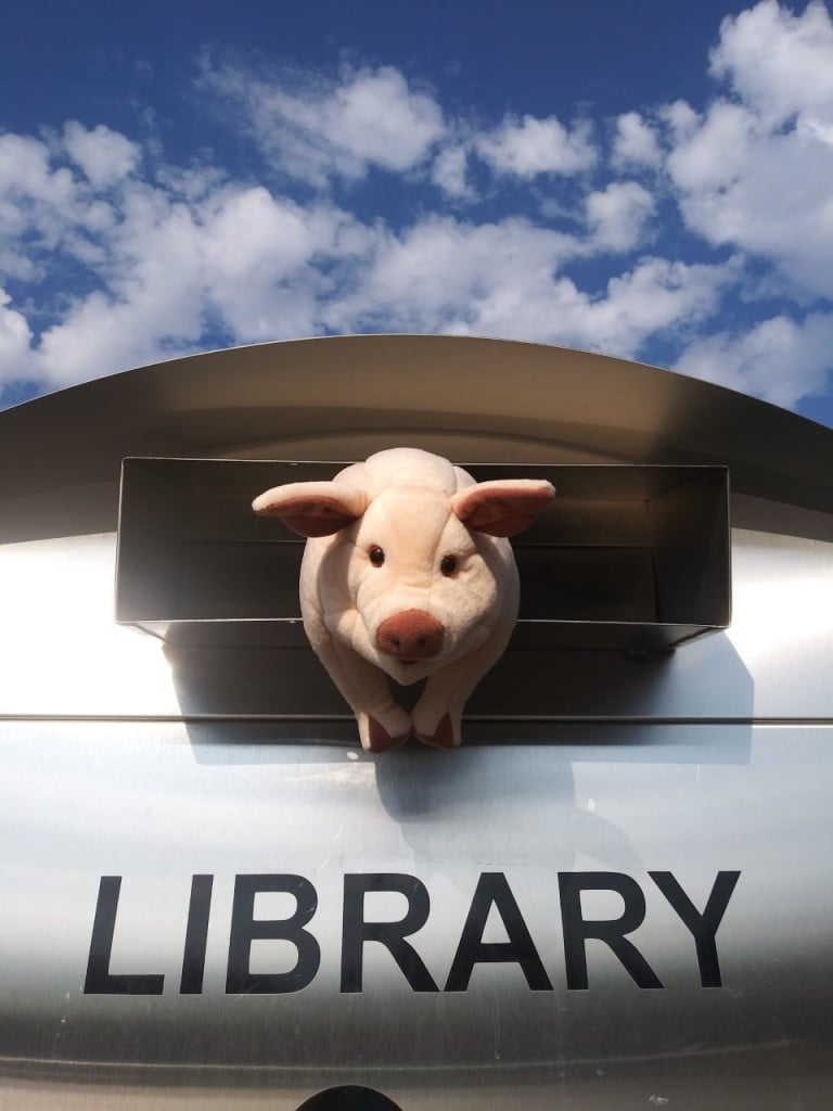 Marlow Explores The Book Drop