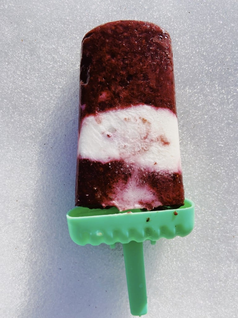 blackberry lemon pop, one of our healthy popsicle recipes