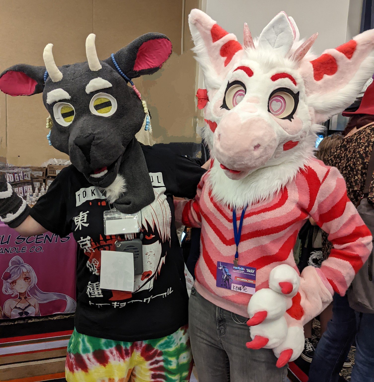 Furry Convention Orlando - im31p88