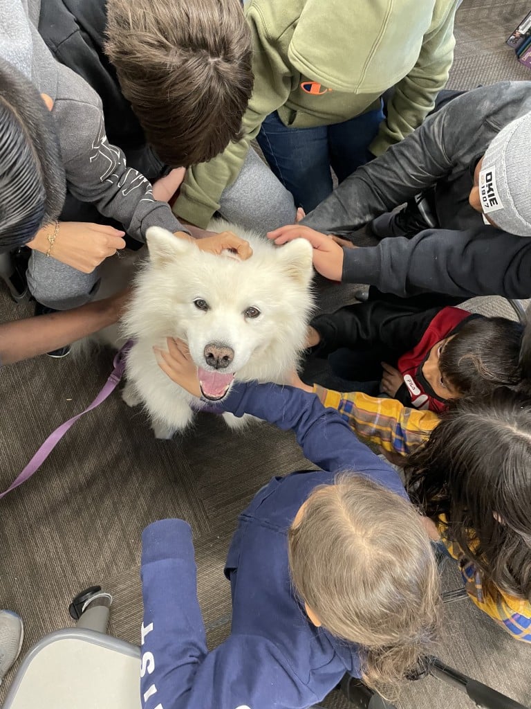 utah the therapy dog with some young friends
