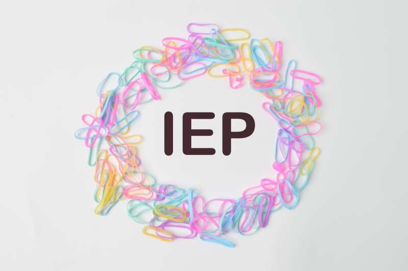 Why Would A Student Need An Iep