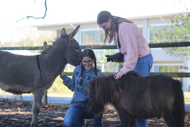 Riverfield Country Day School