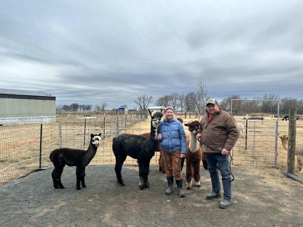 Derek And Julie With Several Of Their Beautiful Alpacas at Fleecy Friends Alpacas