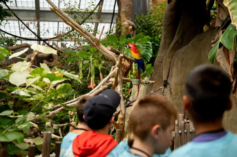 Tulsa Zoo Summer Camps
