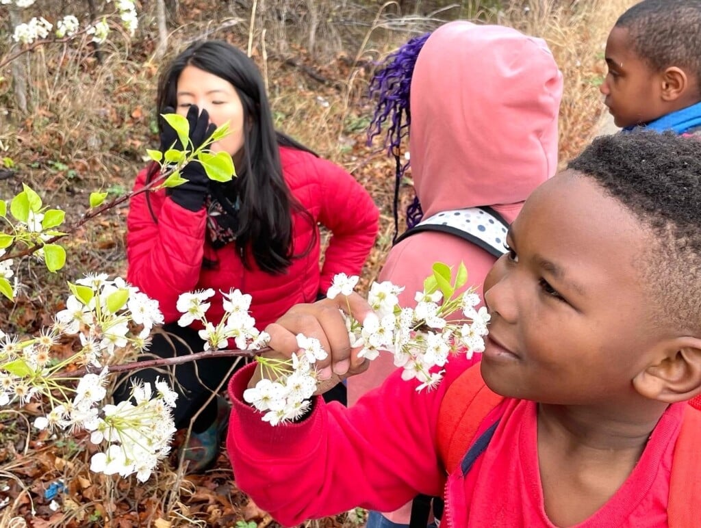 students from an under the canopy nature education program smell blossoms on a tree