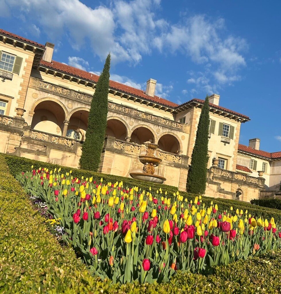 tulips at philbrook museum
