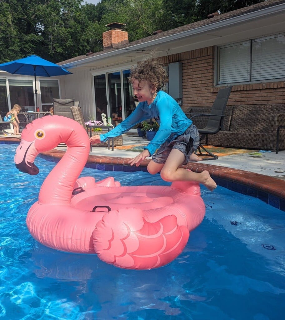 Calflamingo
