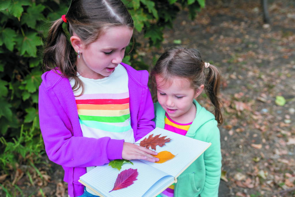 Two Girls Collecting Colorful Leaves in Autumn
