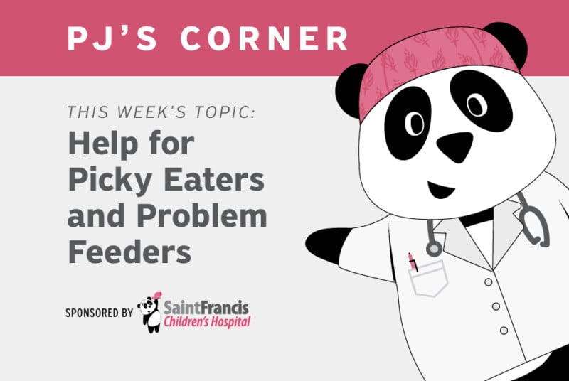 an graphic with a friendly panda that says Pj's Corner and Help for picky eaters and problem feeders