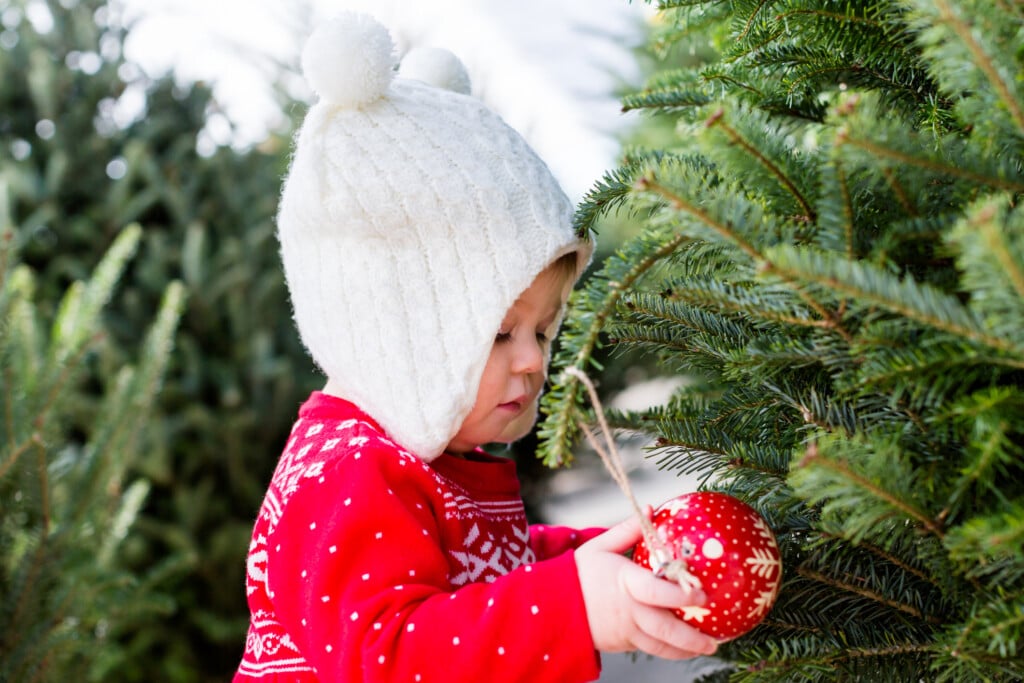 a young girl in winter with live christmas trees