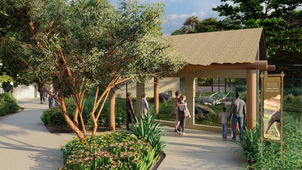 mockup of future anteater habitat at tulsa zoo