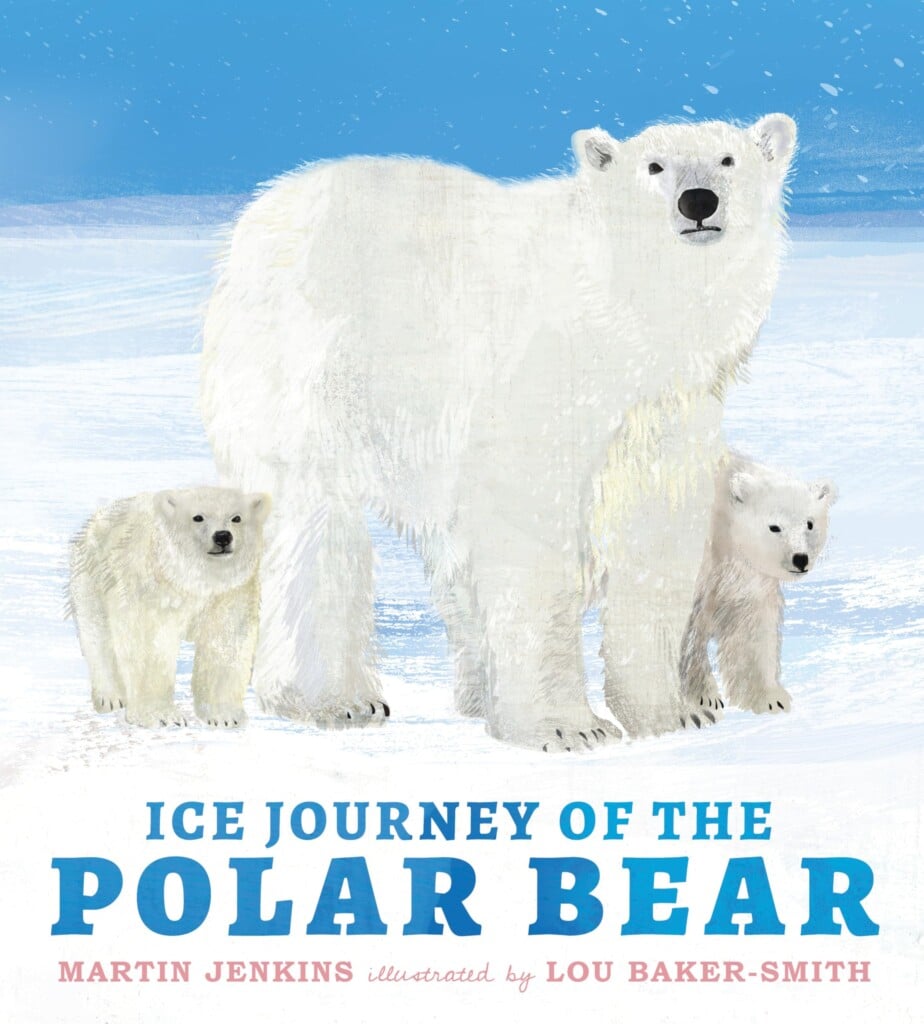 Ice Journey