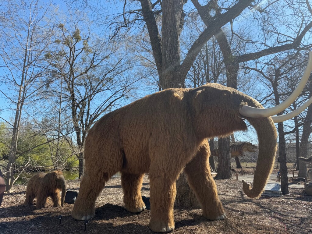 Woolly mammoths at Zoorassic World
