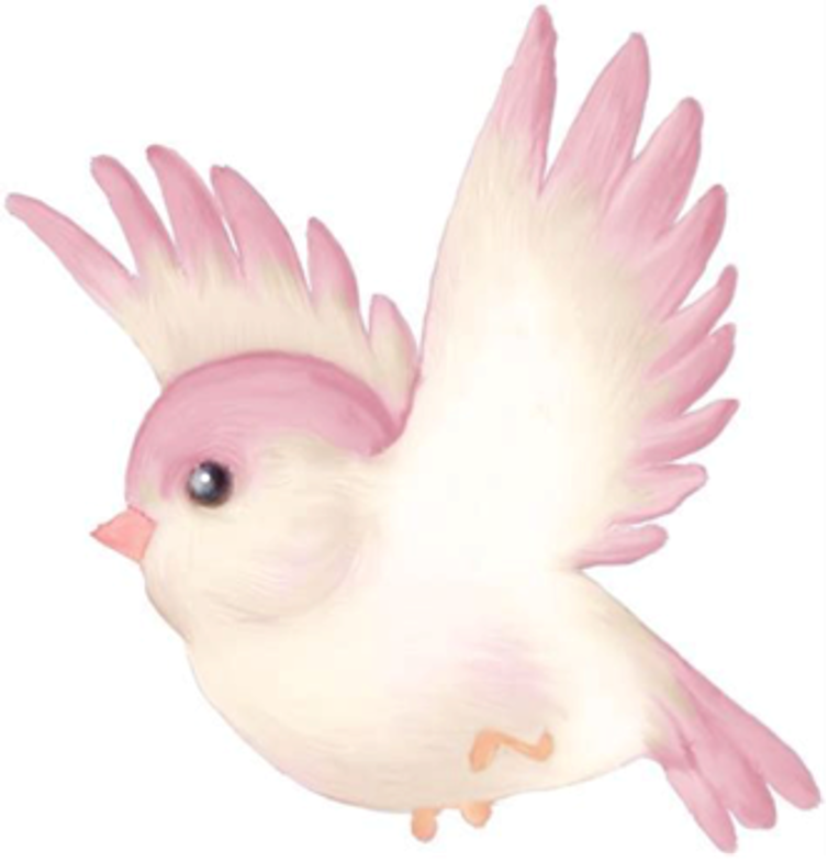 Gl Birdnesting