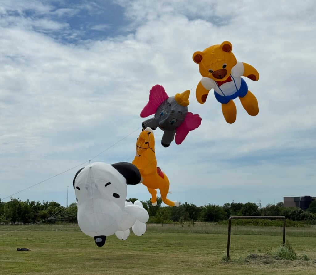 Balloon Festival 10