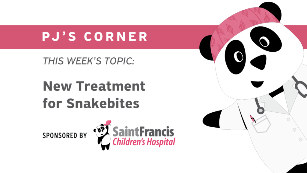 Pjs Corner September Youtube