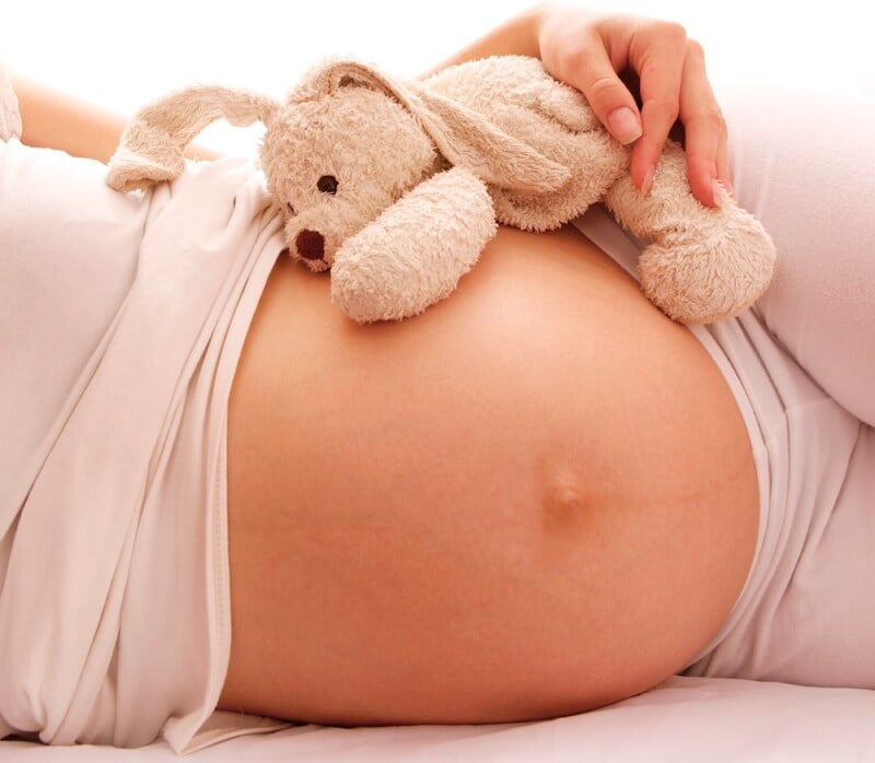 closeup of pregnant woman's belly and teddy bear