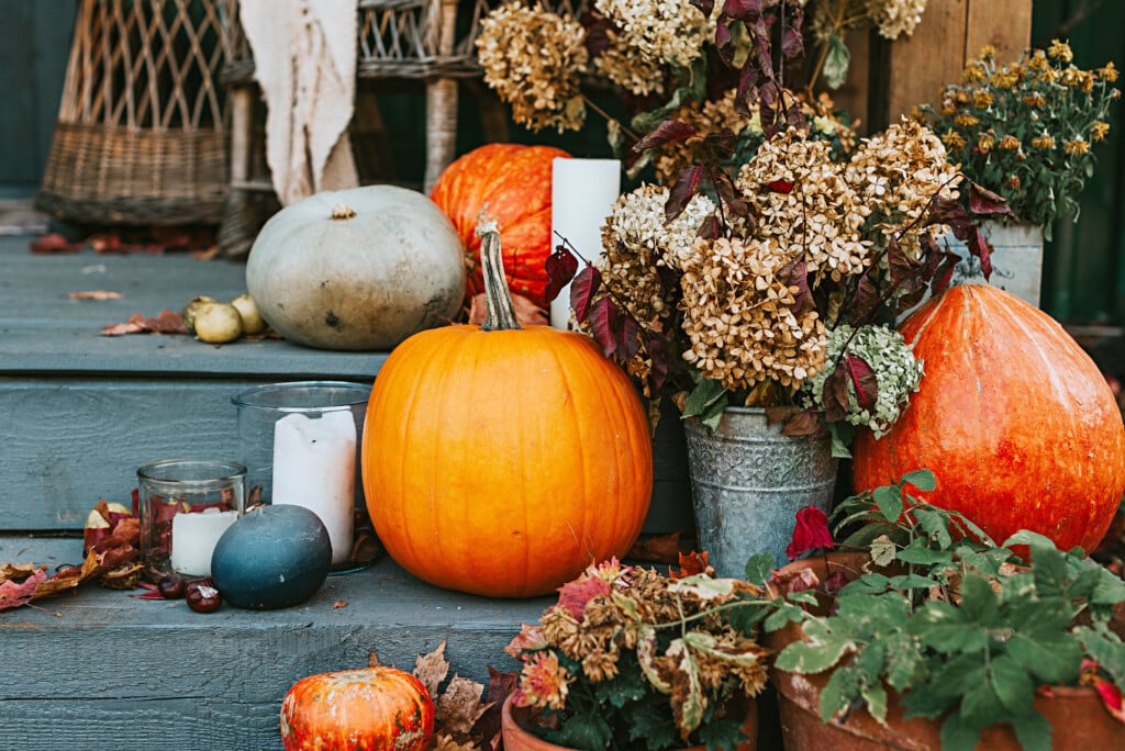 Adobestock 385726671