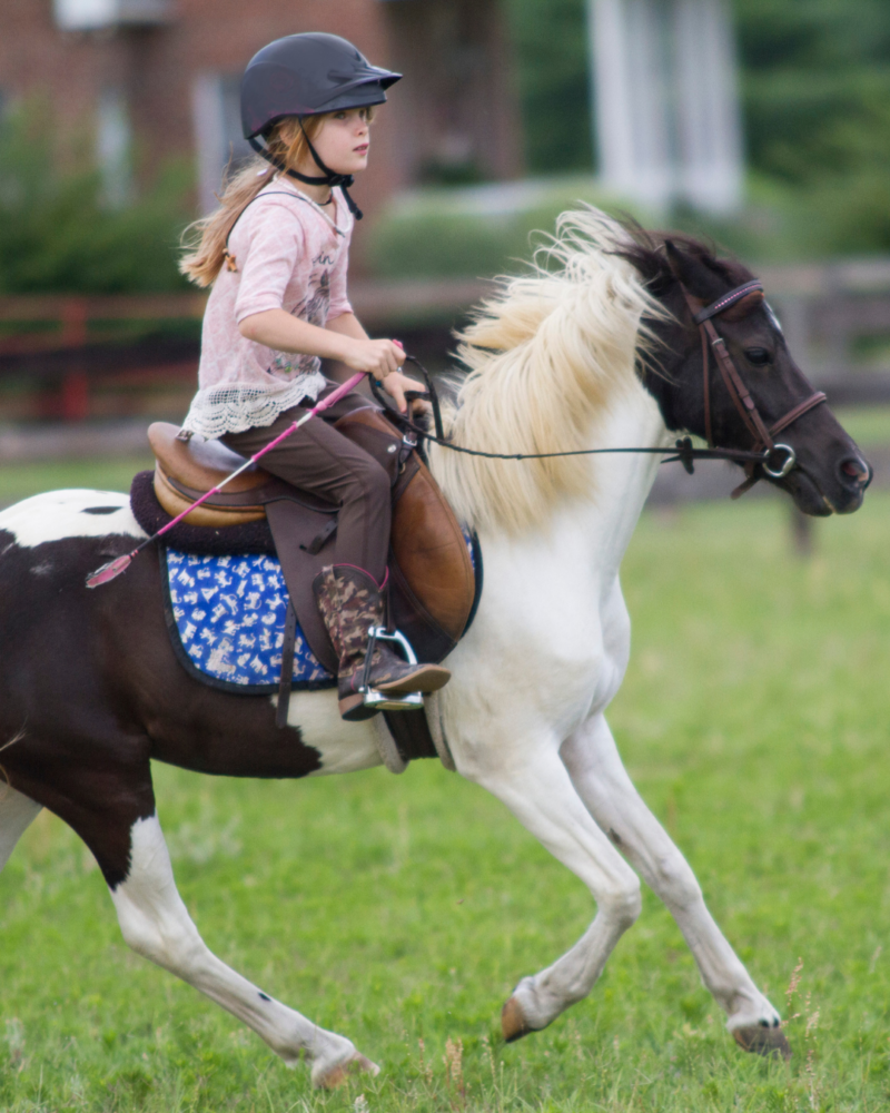 Southern Hills Riding Academy