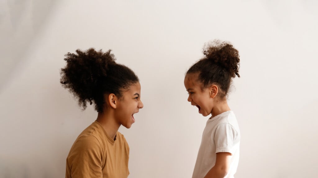 Teenaged Girl And Her Little Sister At Home, looking angry with each other