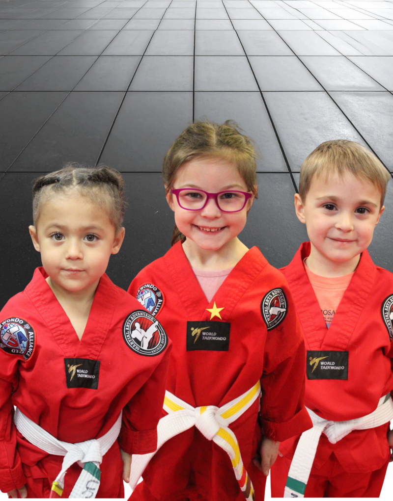 Martial Arts Advantage