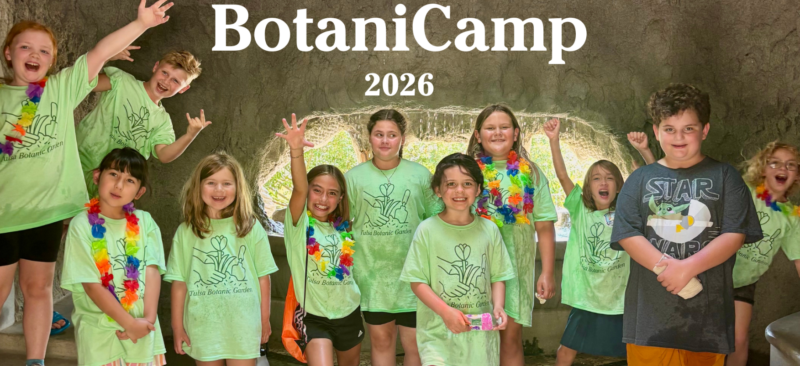 BotaniCamp at Tulsa Botanic Garden