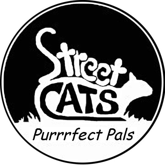 StreetCats Inc.