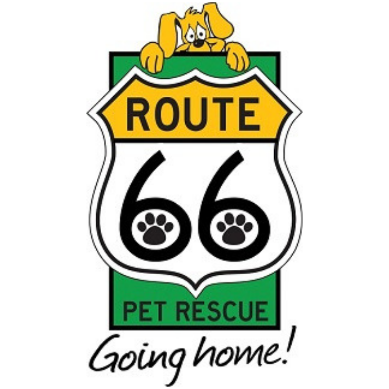 Route 66 Pet Rescue