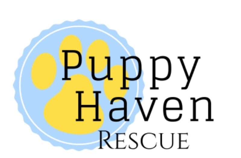 Puppy Haven Rescue