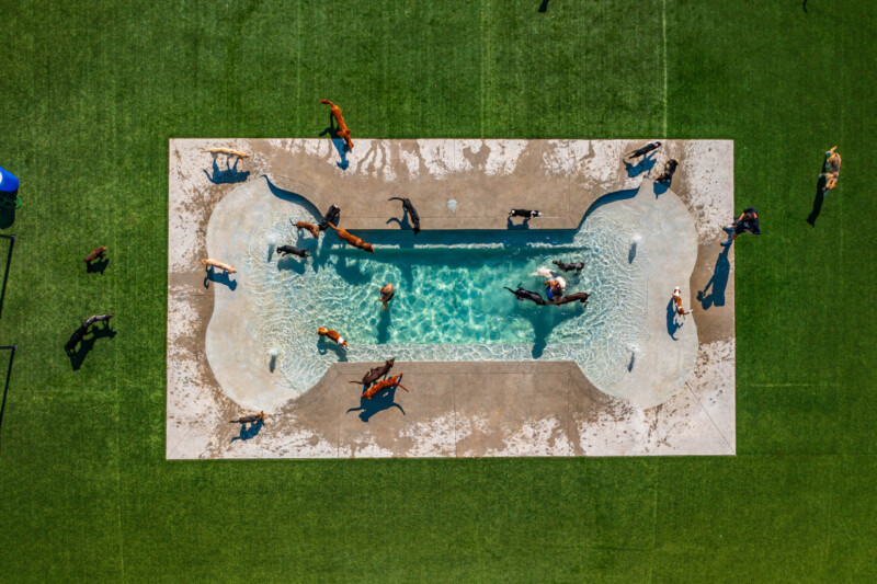 Woodland West Pet Resort