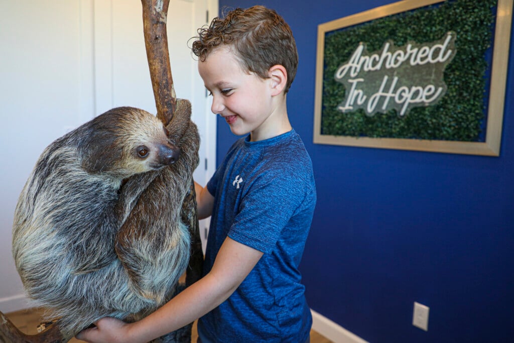 one of the therapy sloths at anchored in hope