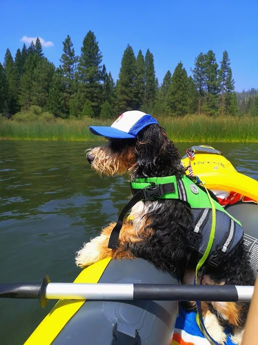 Lake Dog and Their People