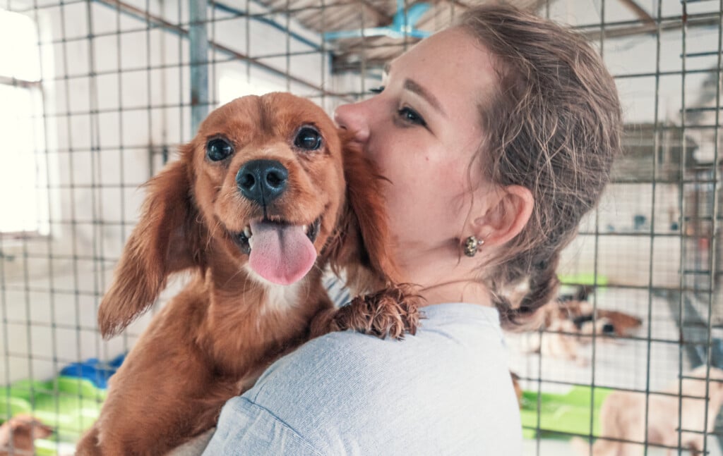 woman holds dog in animal shelter, for list of tulsa-area animal shelters