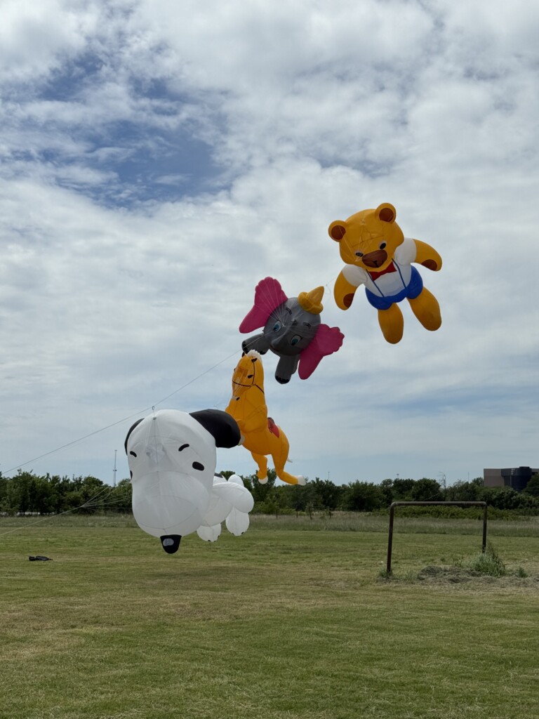 Festival of Kites