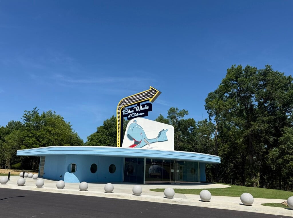 blue whale visitor center