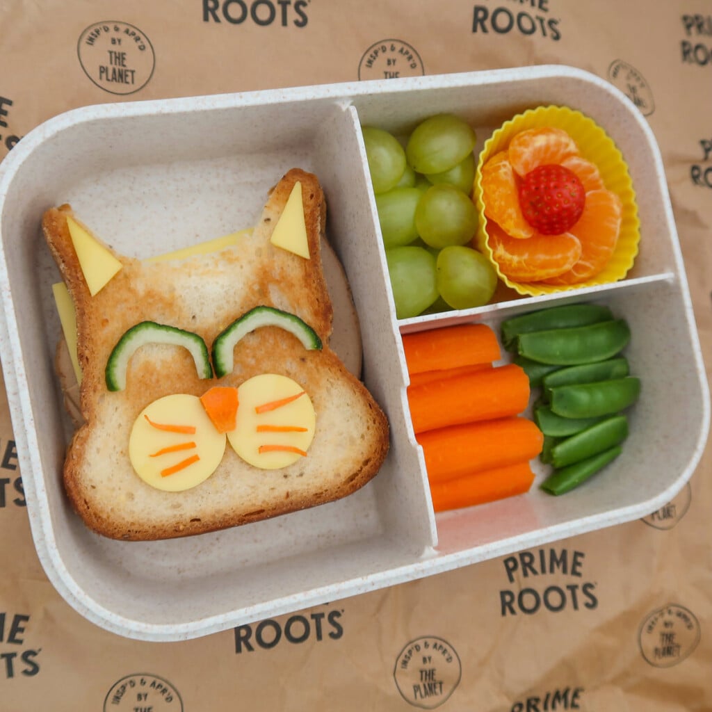 Cat Bento 1 1200x