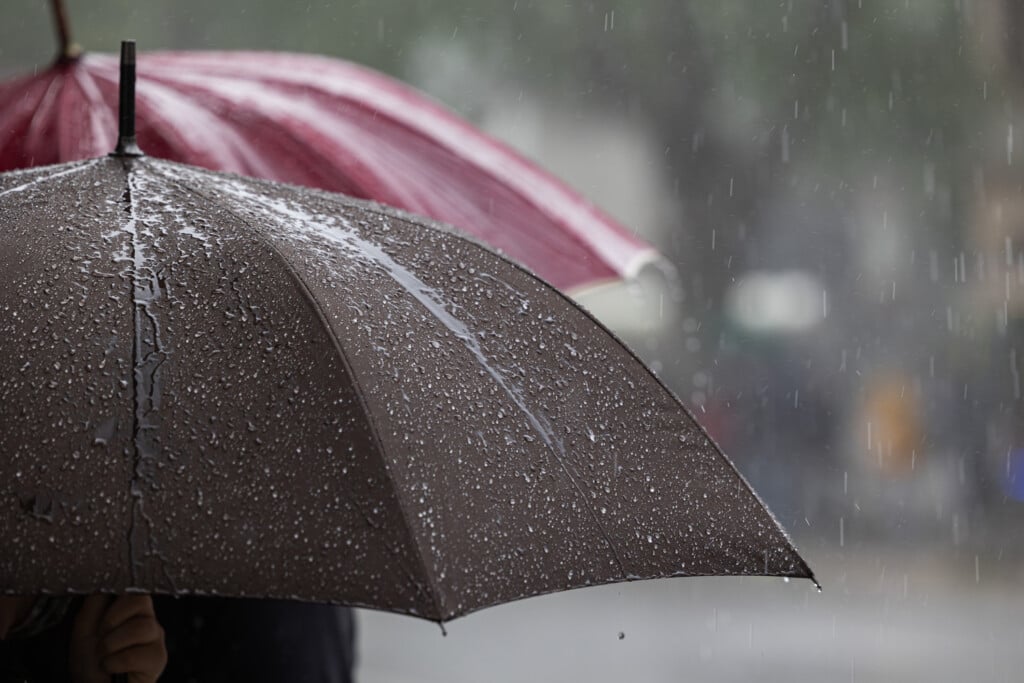 Grey And Red Umbrellas Under A Strong Rain